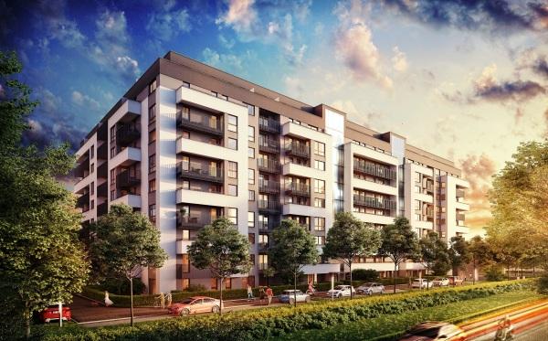 Powtórka projektu Grunwald