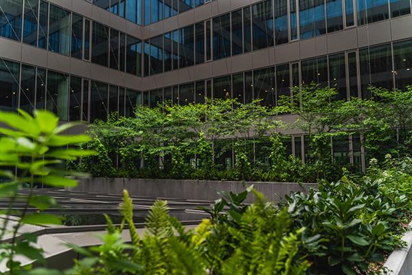 Fabryka Norblina obrosła w zieleń