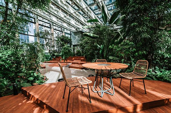 Miejska dżungla Olivia Garden z nagrodą