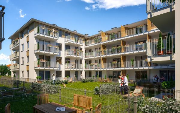 Postępy na Radosnej