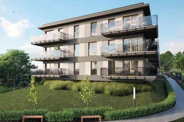 W Poznaniu rośnie Zielony Sołacz