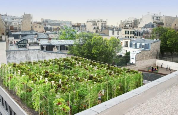 Zielone dachy Paryża