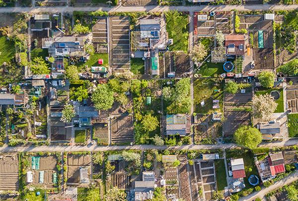 Brak planów miejscowych uderza w miejską zieleń