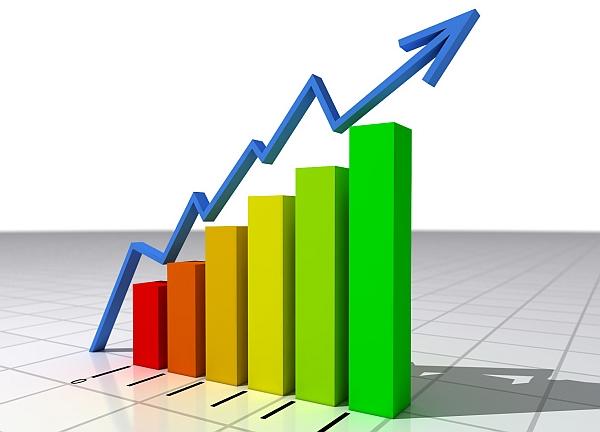 Dantex podsumował pierwszy kwartał