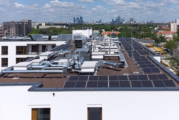 Yareal na drodze zrównoważonego rozwoju