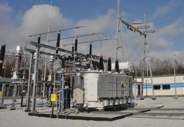 Enea zakończyła projekt w Wielkopolsce