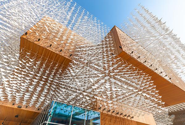 Wędrowne ptaki i drewno. Polski pawilon na EXPO w Dubaju