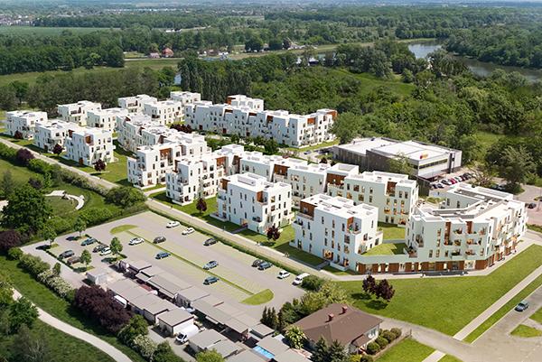 W budowie IV etap Bacciarellego 54